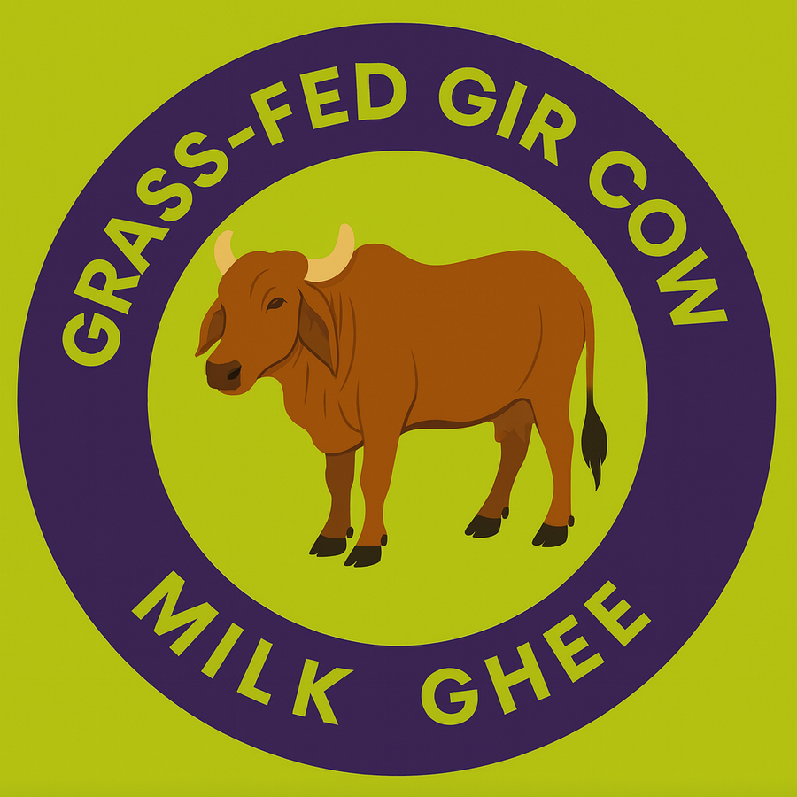 MORHAV® A2 GIR COW GHEE GOLD | 100% Ayurvedic Bilona Method | Curd-Churned in Braham Mahurat NOT Cream Cultured Ghee| | Lactose-Free | No Preservatives | No Chemicals | Keto-Friendly | Lab Tested